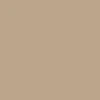 CCS Pleated Chino Shorts - Khaki - Image 13